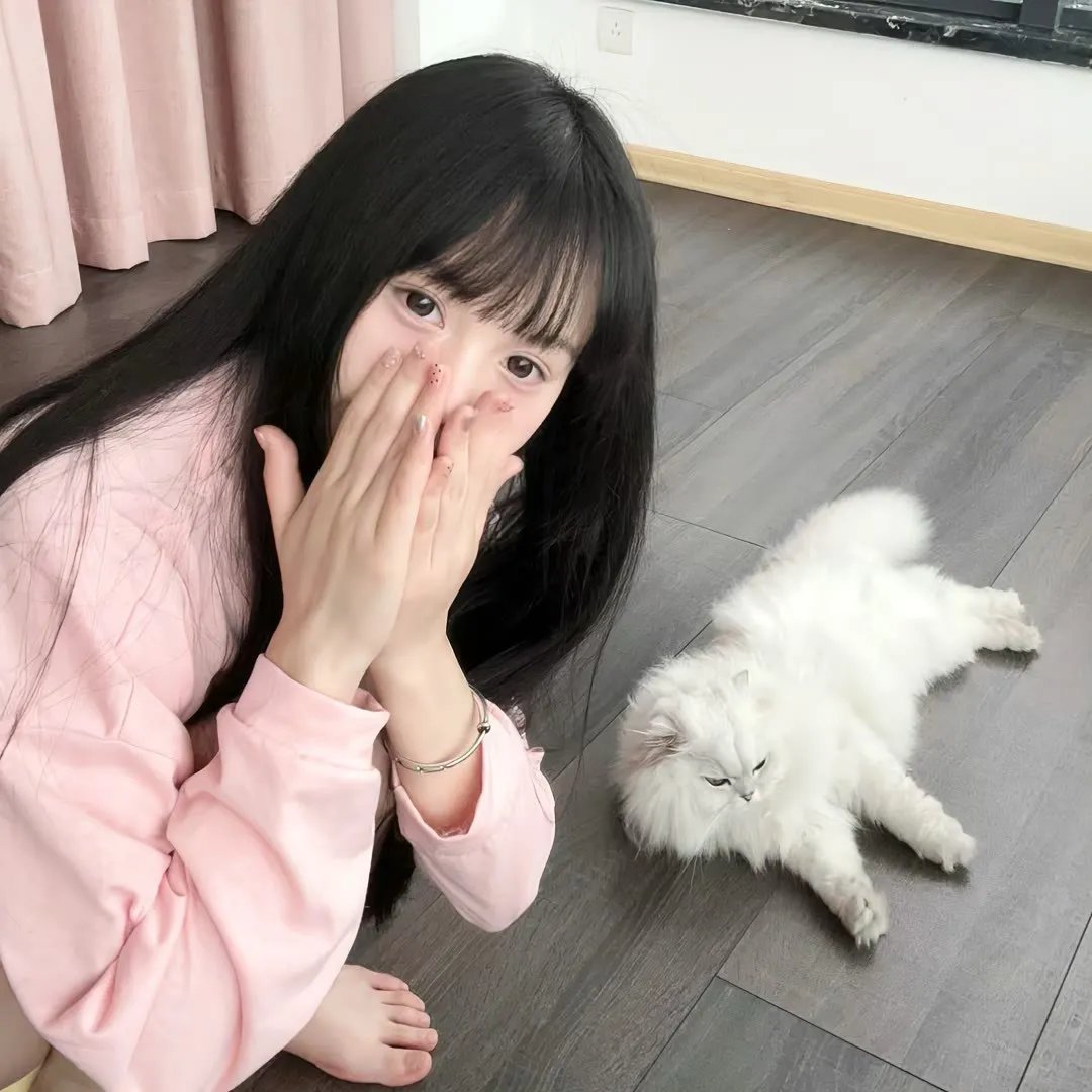 危鸡总动员